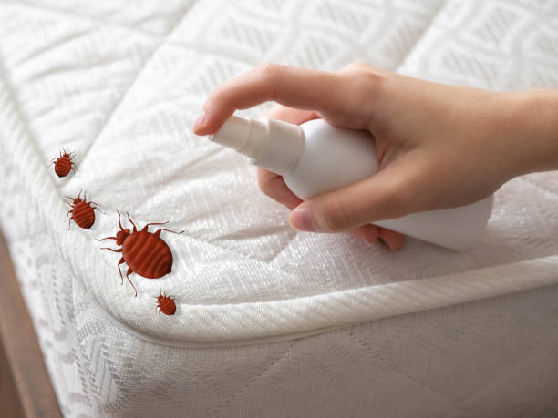 Best Pest Prevention Services  in Packanack Lake, NJ